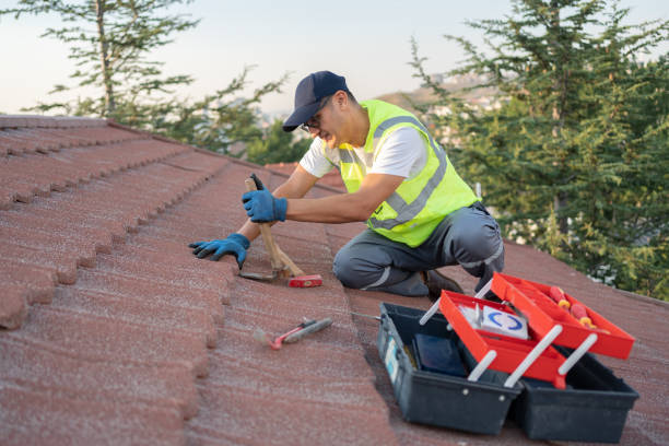 Best Roof Repair Services  in Findlay, OH